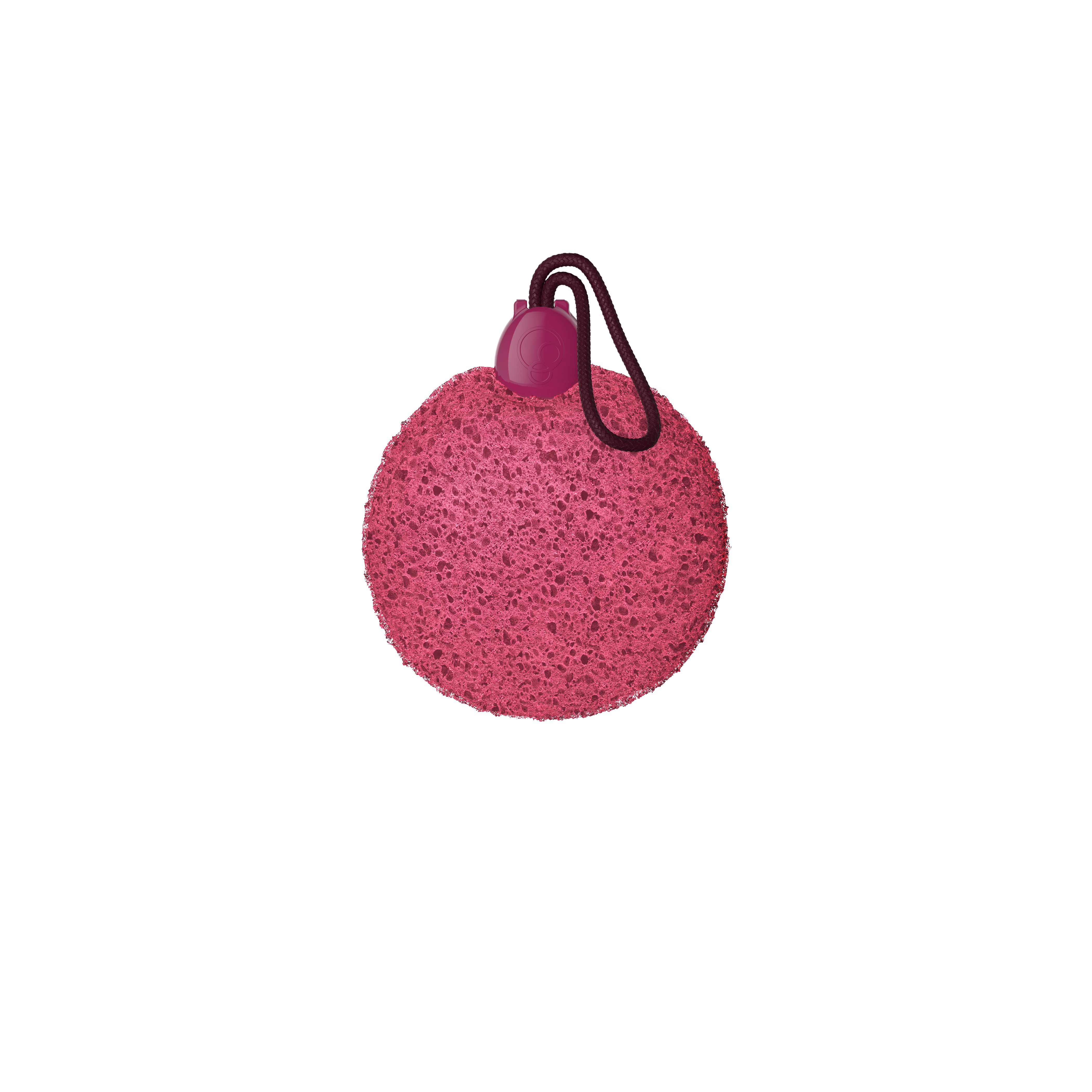 FOAMIE Sponge - The Berry Best