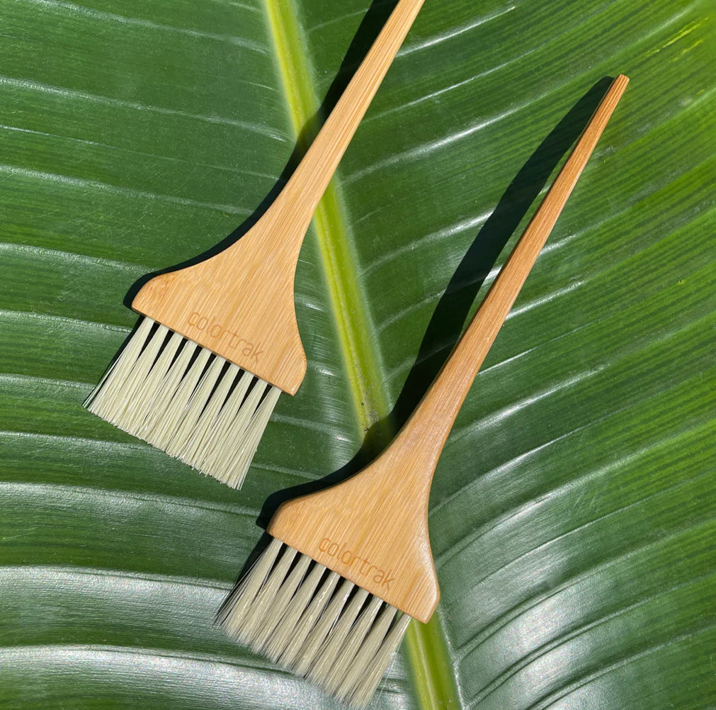 COLORTRAK - ECO COLLECTION BAMBOO BRUSHES 2PK Phoenix Nationale