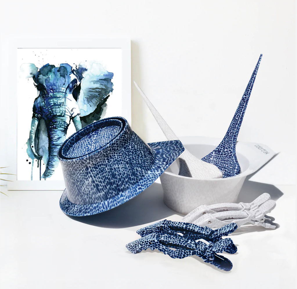 COLORTRAK - SAFARI CHIC COLOR MIXING BOWL - BLUE | Phoenix Nationale